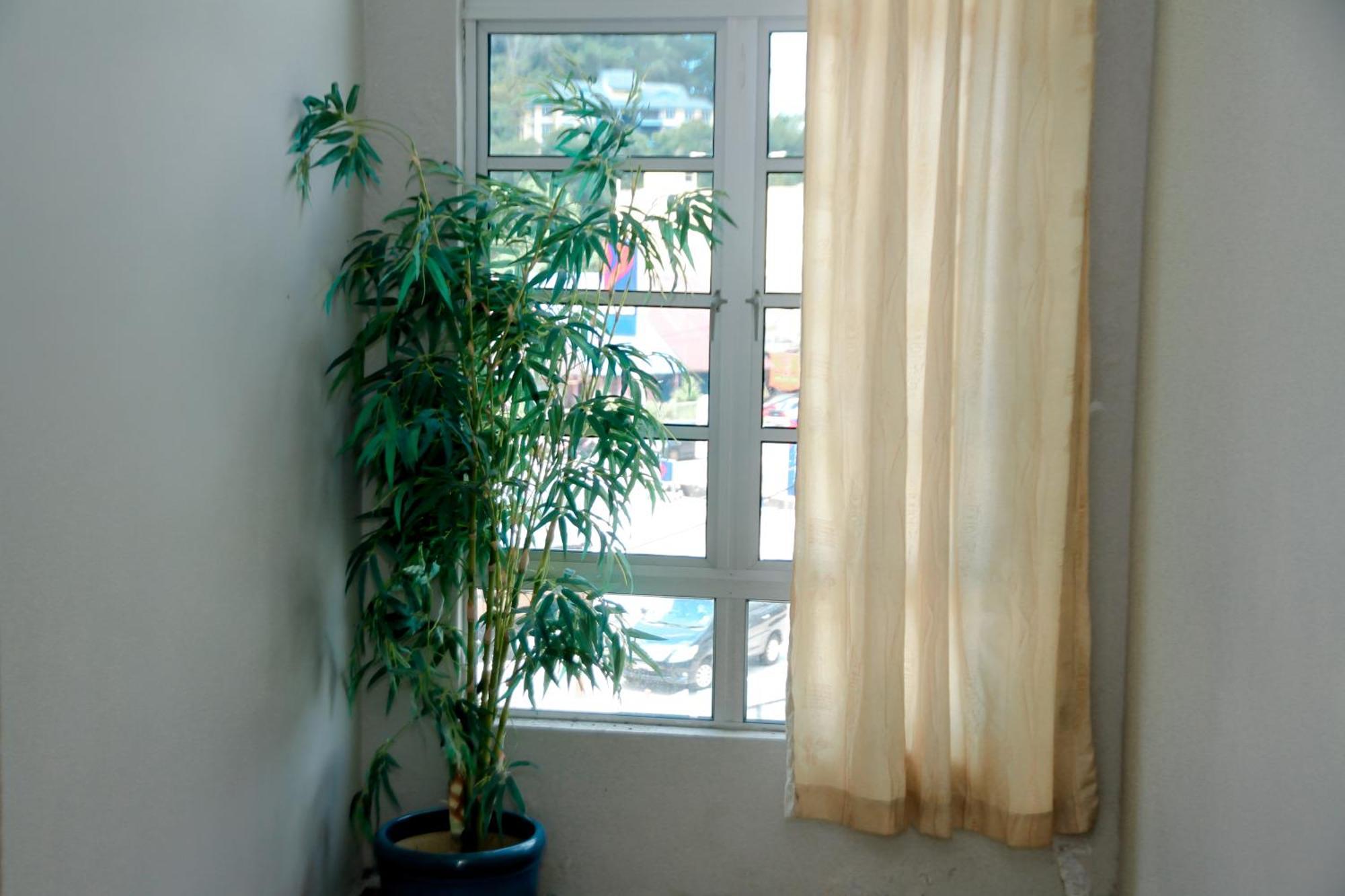 Hotel D View Mersing Dış mekan fotoğraf